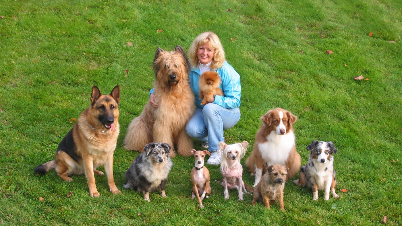 Bonnie Judd kneeling on grass surrounded by nine trained dogs of different breeds