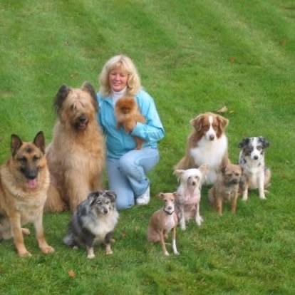 Bonnie Judd kneeling on grass surrounded by eight trained dogs of different breeds